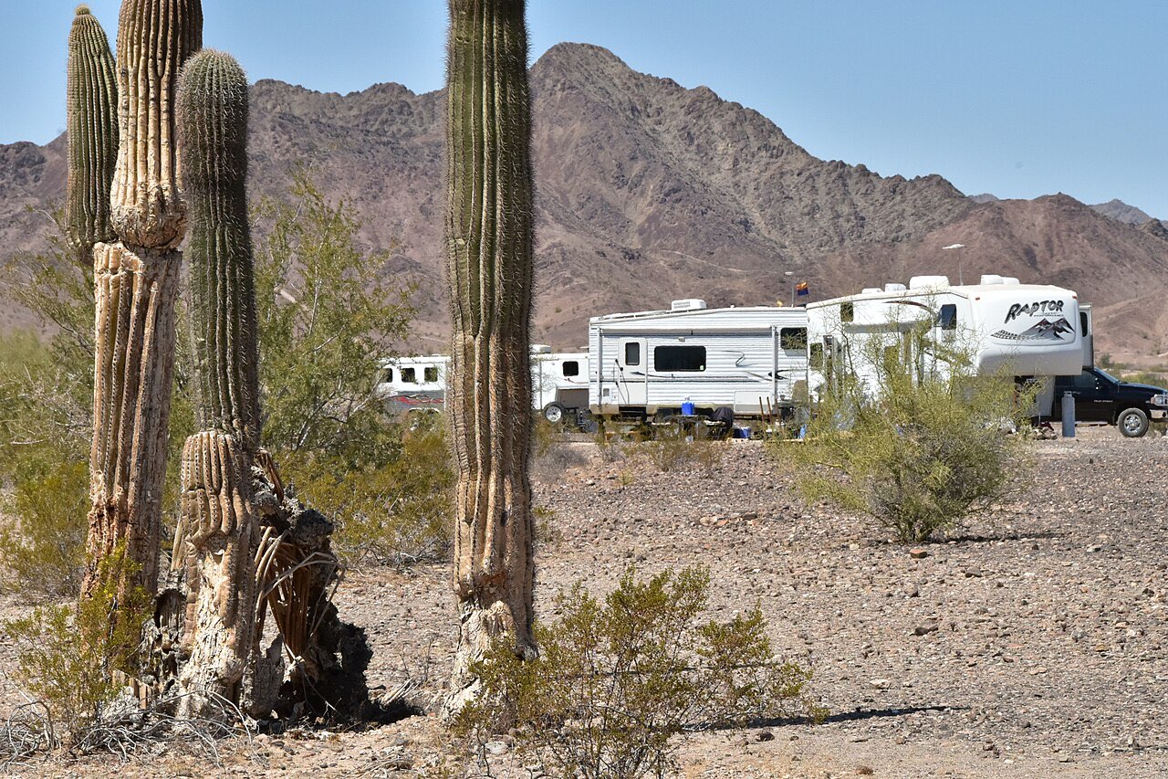 Two white fifth wheel trailers and a pickup parked in open desert behind tall saguaro cacti, with a rocky ridge behind