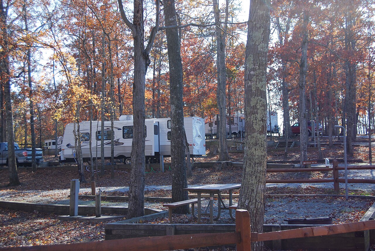 A travel trailer parked in a wooded state park campground loop with autumn foliage and a picnic table