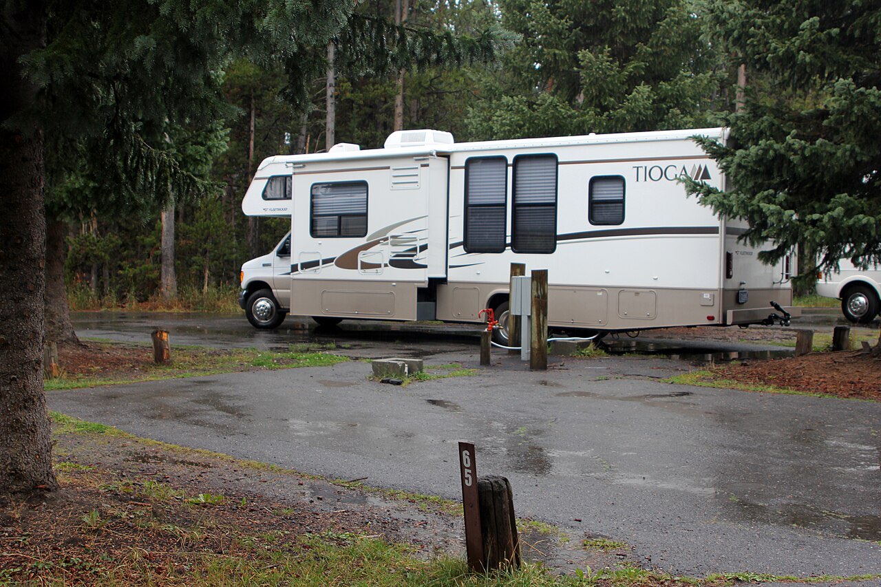 A Class C motorhome parked at a paved campsite among lodgepole pines at Fishing Bridge RV Park